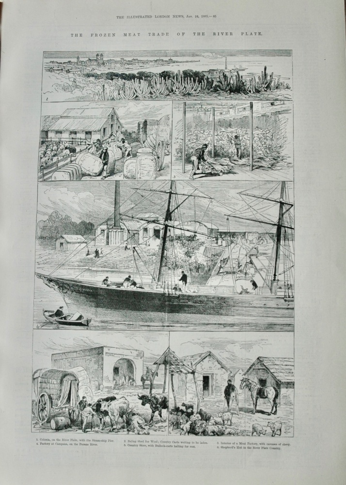 The Frozen Meat Trade of the River Plate - 1885