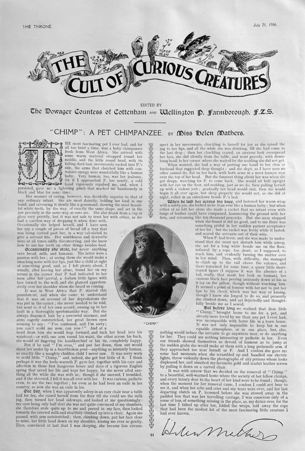 The Cult of Curious Creatures. :  