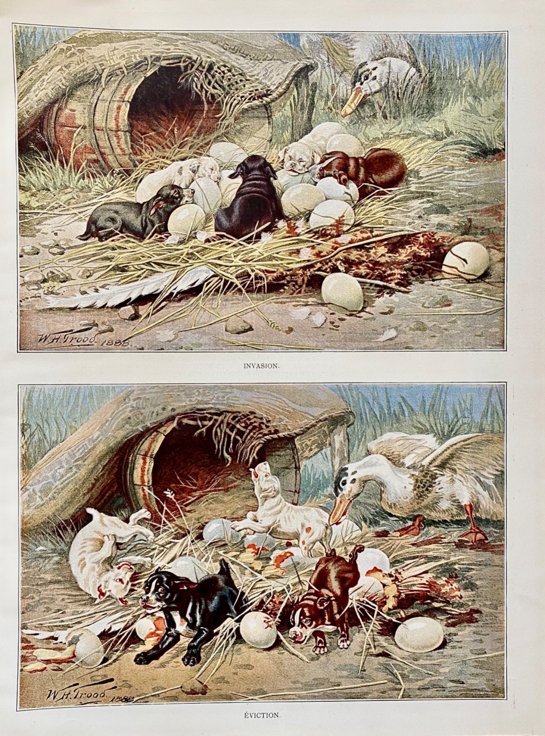 Invasion/Eviction - 1888