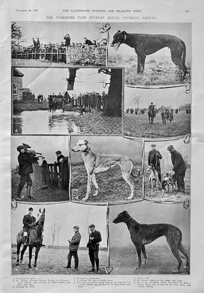 The Yorkshire Club (Studley Royal) Coursing Meeting.  1907.
