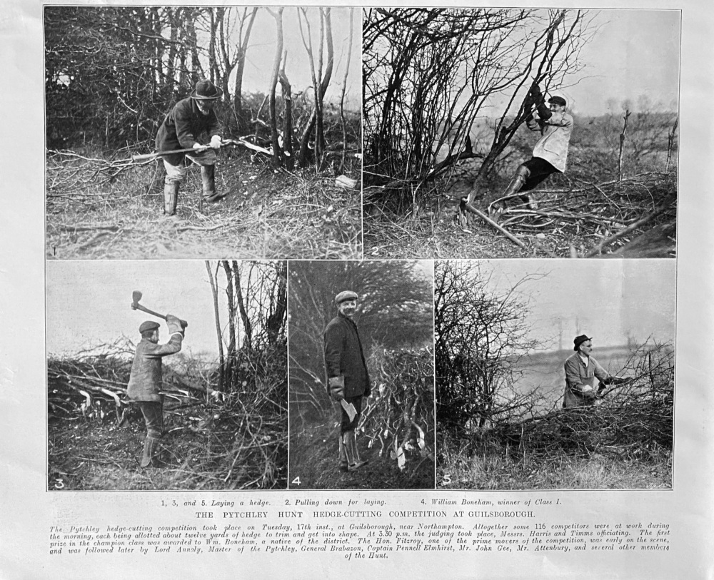 The Pytchley Hunt Hedge-Cutting Competition at Guilsborough.  1907.