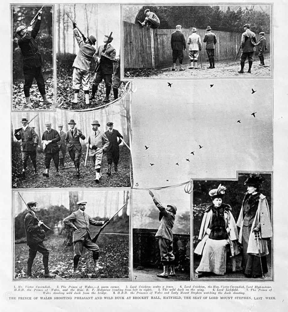 The Prince of Wales Shooting Pheasant and Wild Duck at Brocket Hall, Hatfield, the Seat of Lord Mount Stephen, Last Week/  1907.