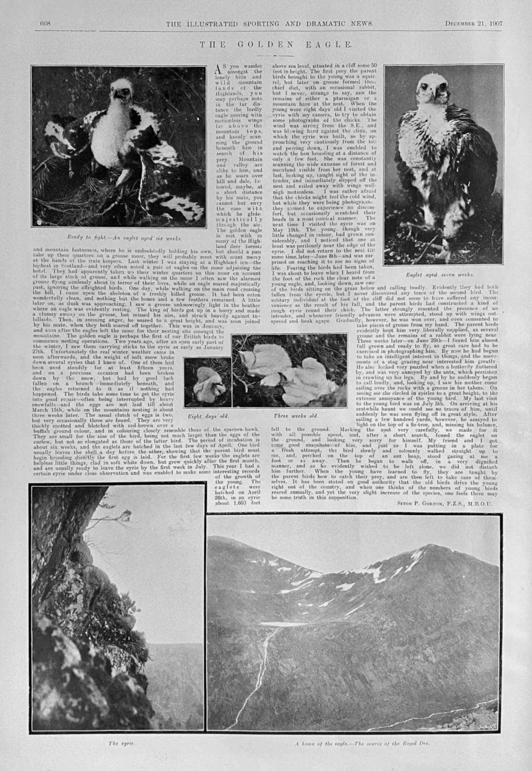 The Golden Eagle. 1907.