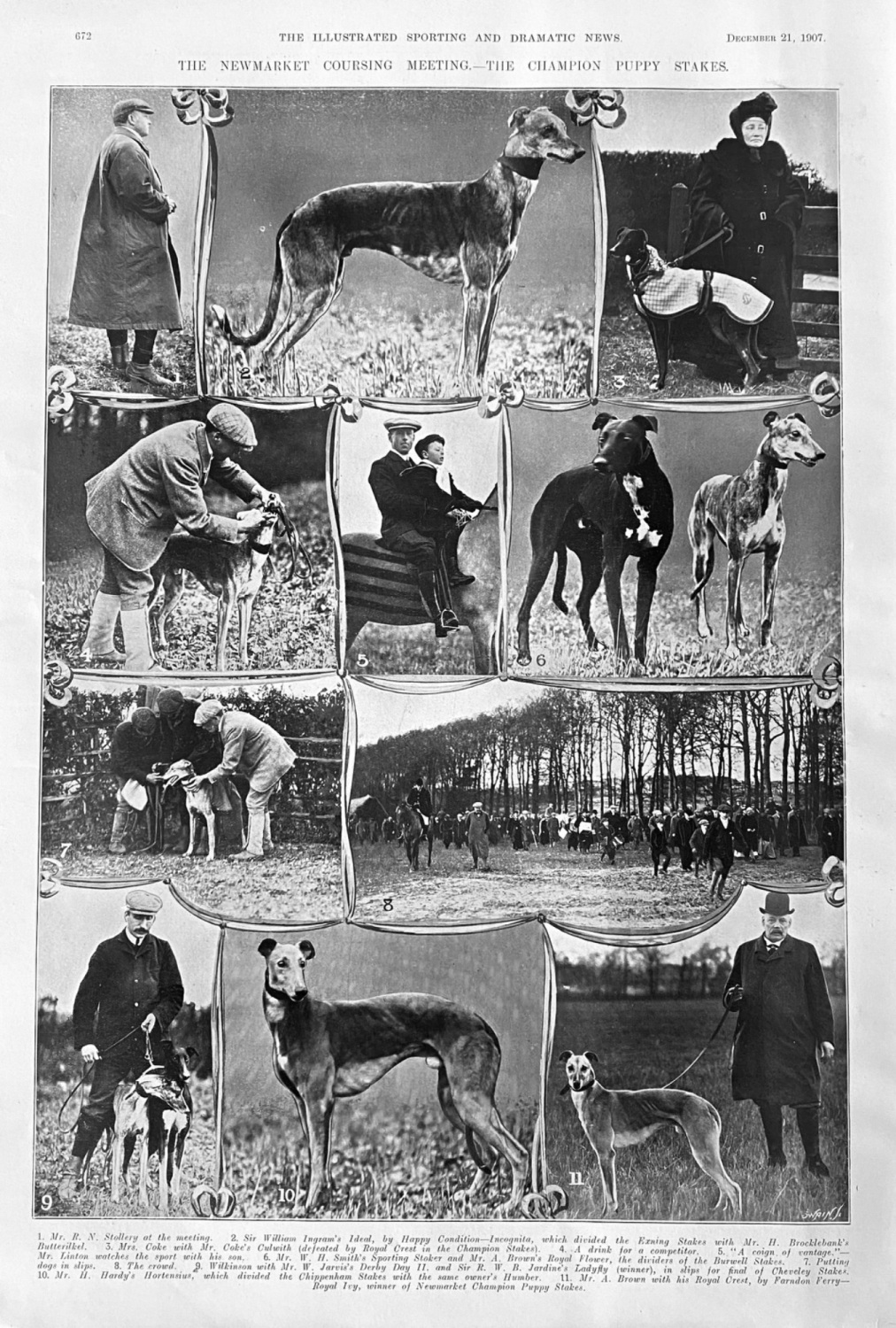 The Newmarket Coursing Meeting.- The Champion Puppy Stakes.  1907.