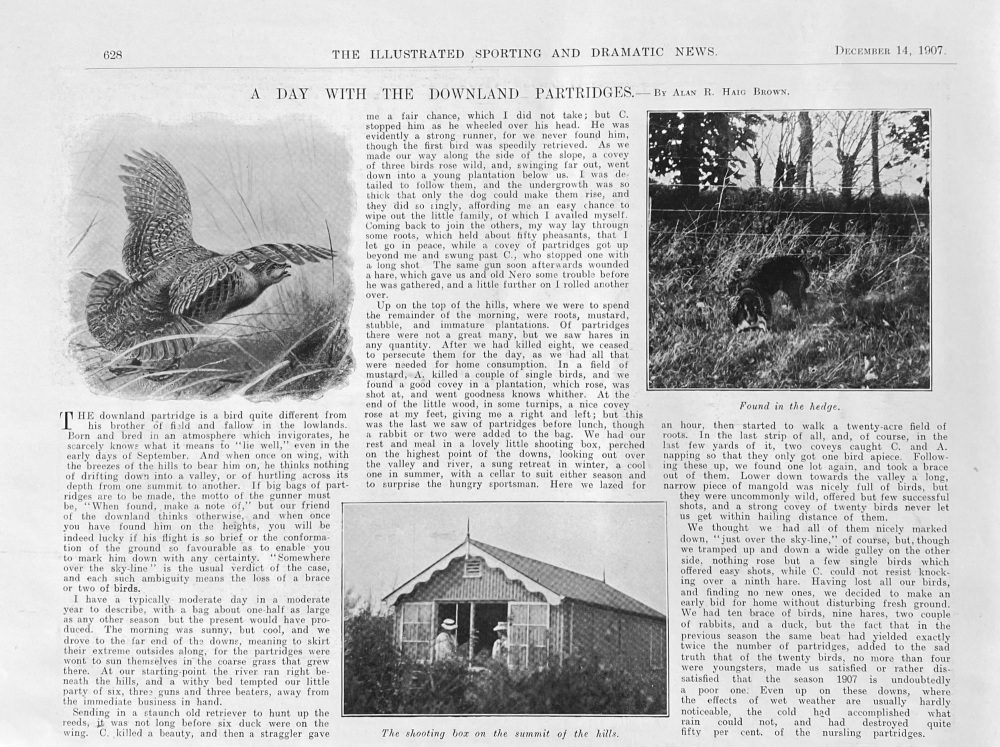 A Day with the Downland Partridges.  1907.