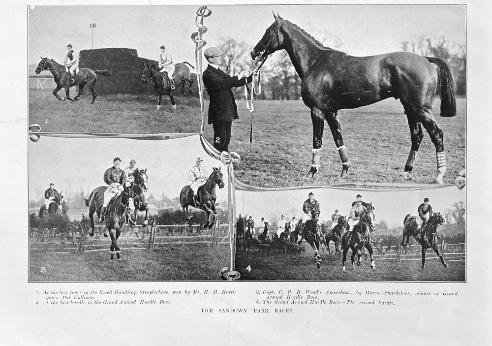 The Sandown Park Races. 1907.