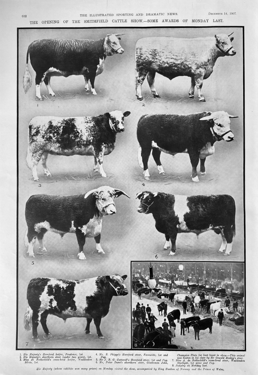 The Opening of the Smithfield Cattle Show.- Some Awards of Monday Last.  19