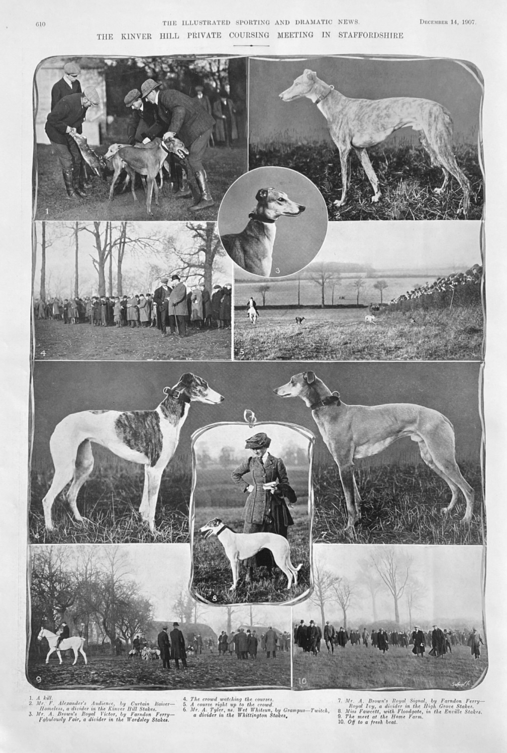 The Kinver Hill Private Coursing Meeting in Staffordshire.  1907.