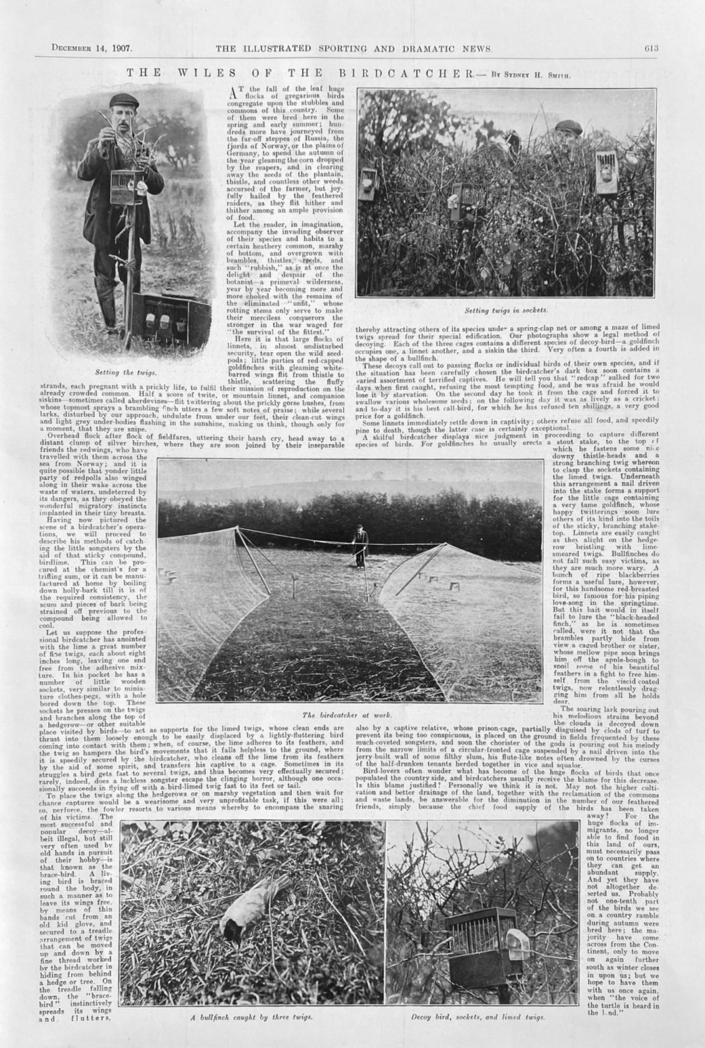 The Wiles of the Birdcatcher.  1907.