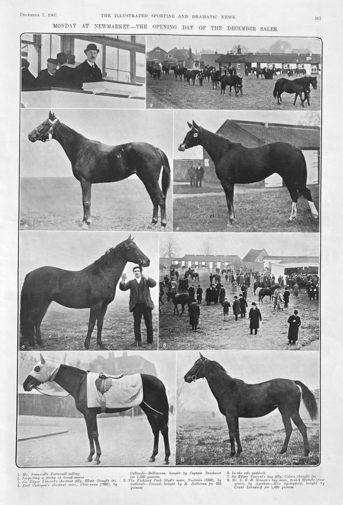 Monday at Newmarket.-  The Opening Day of the December Sales.  1907.