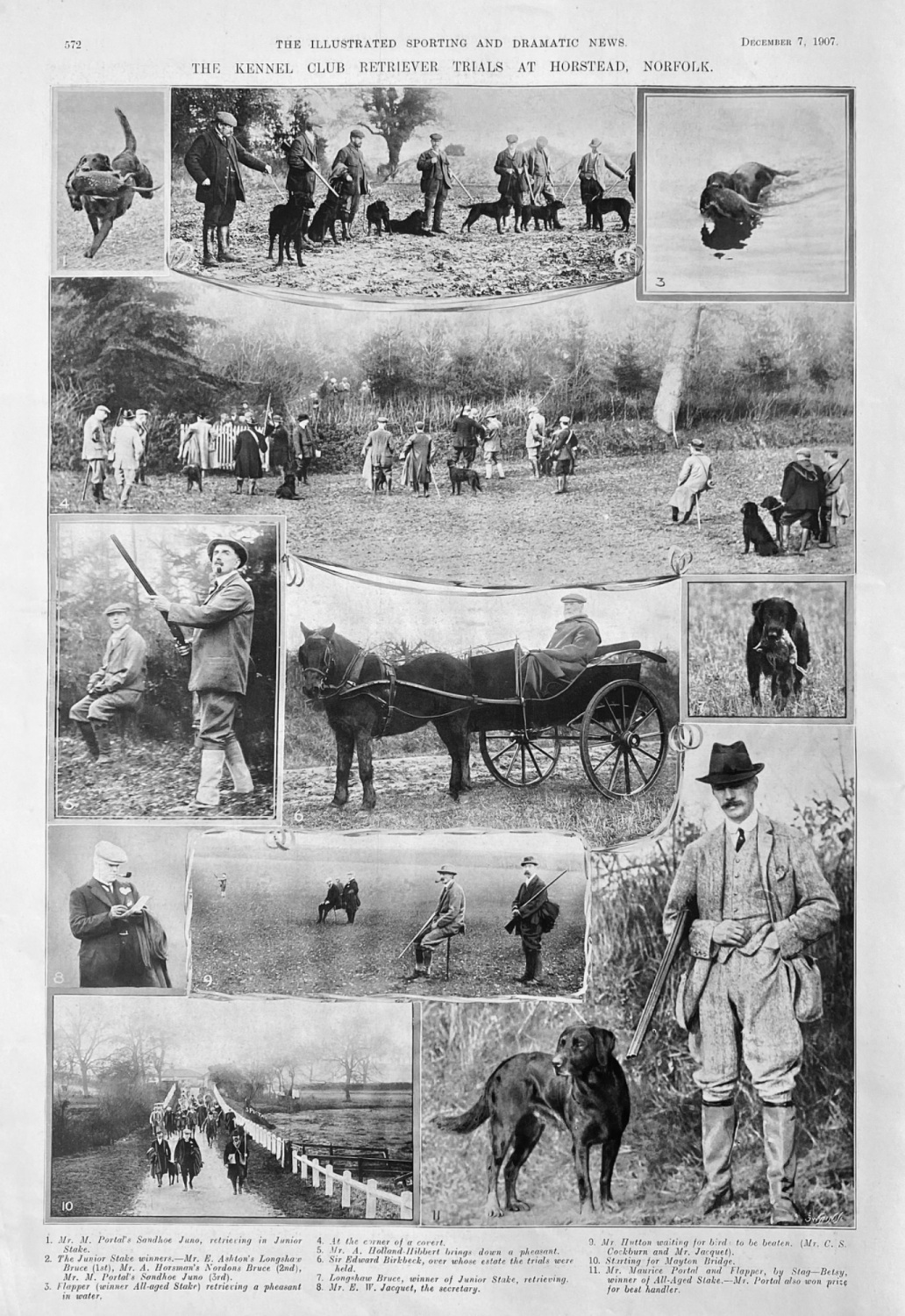 The Kennel Club Retriever Trials at Horstead, Norfolk.  1907.