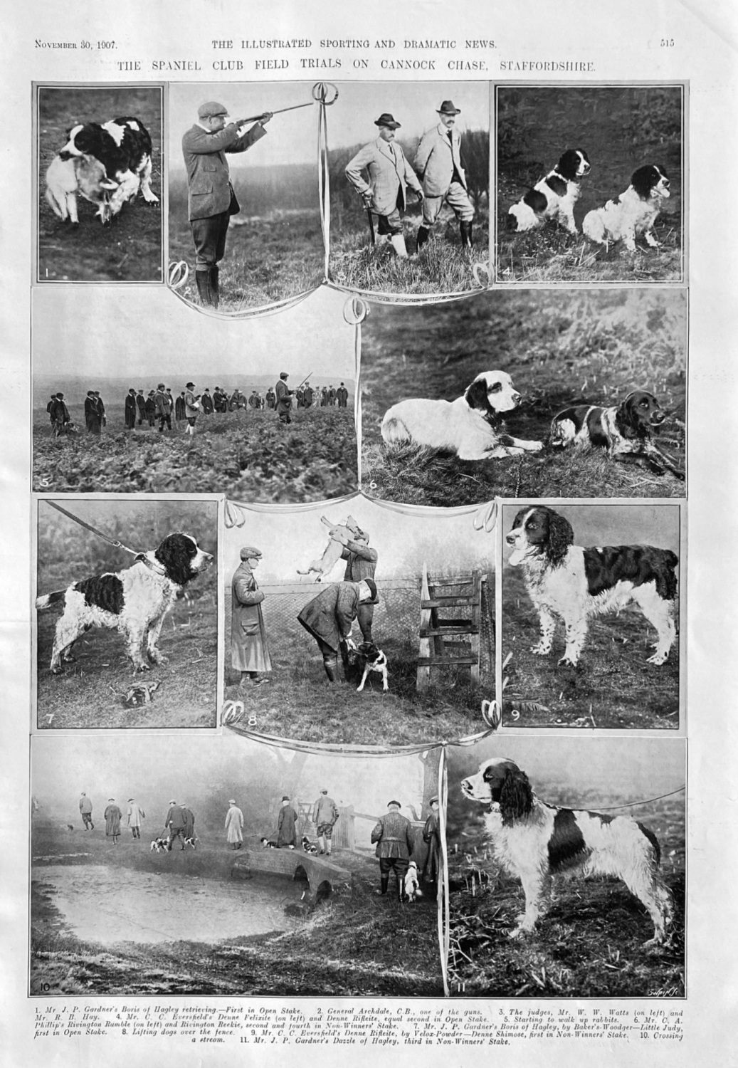 The Spaniel Club Field Trials on Cannock Chase, Staffordshire.  1907.