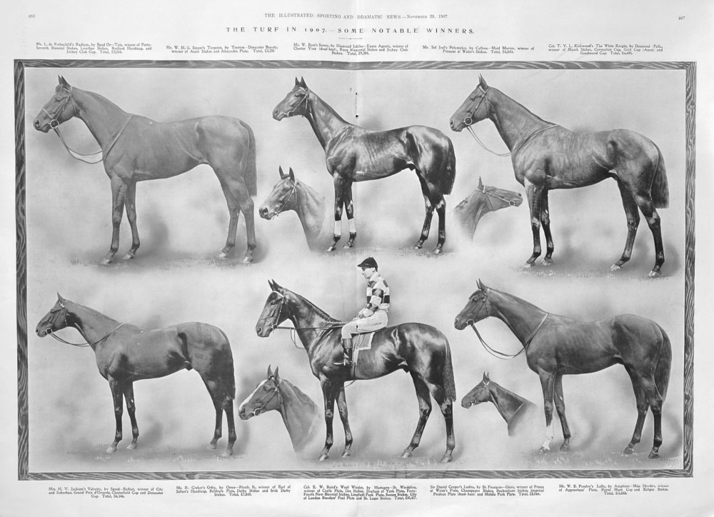 The Turf in 1907.-  Some Notable Winners.