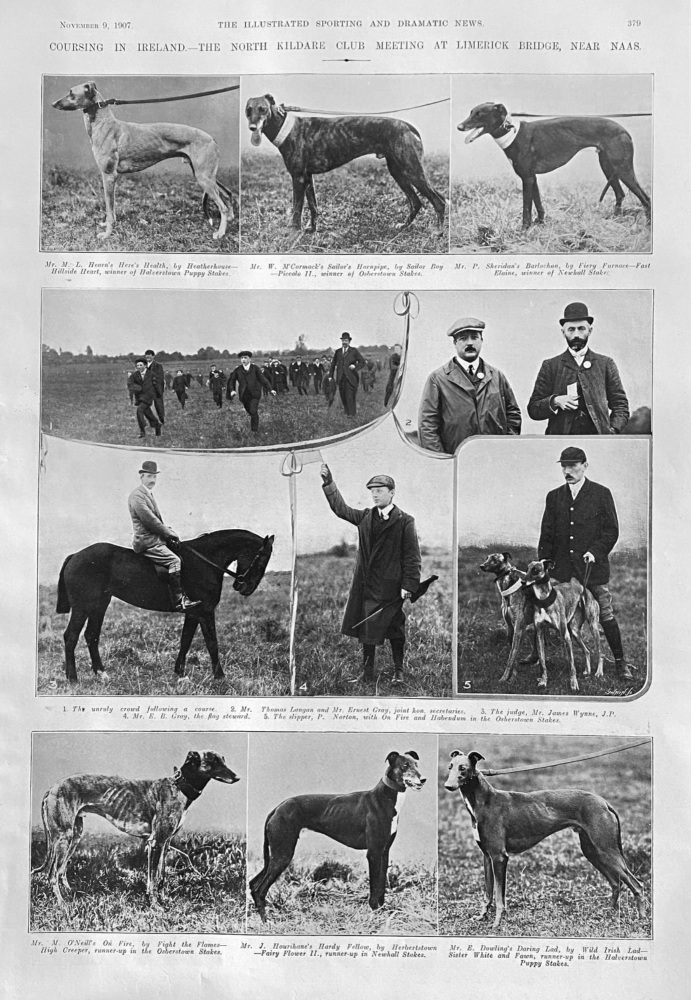 Coursing in Ireland.- The North Kildare Club Meeting at Limerick Bridge, near Naas. 1907.