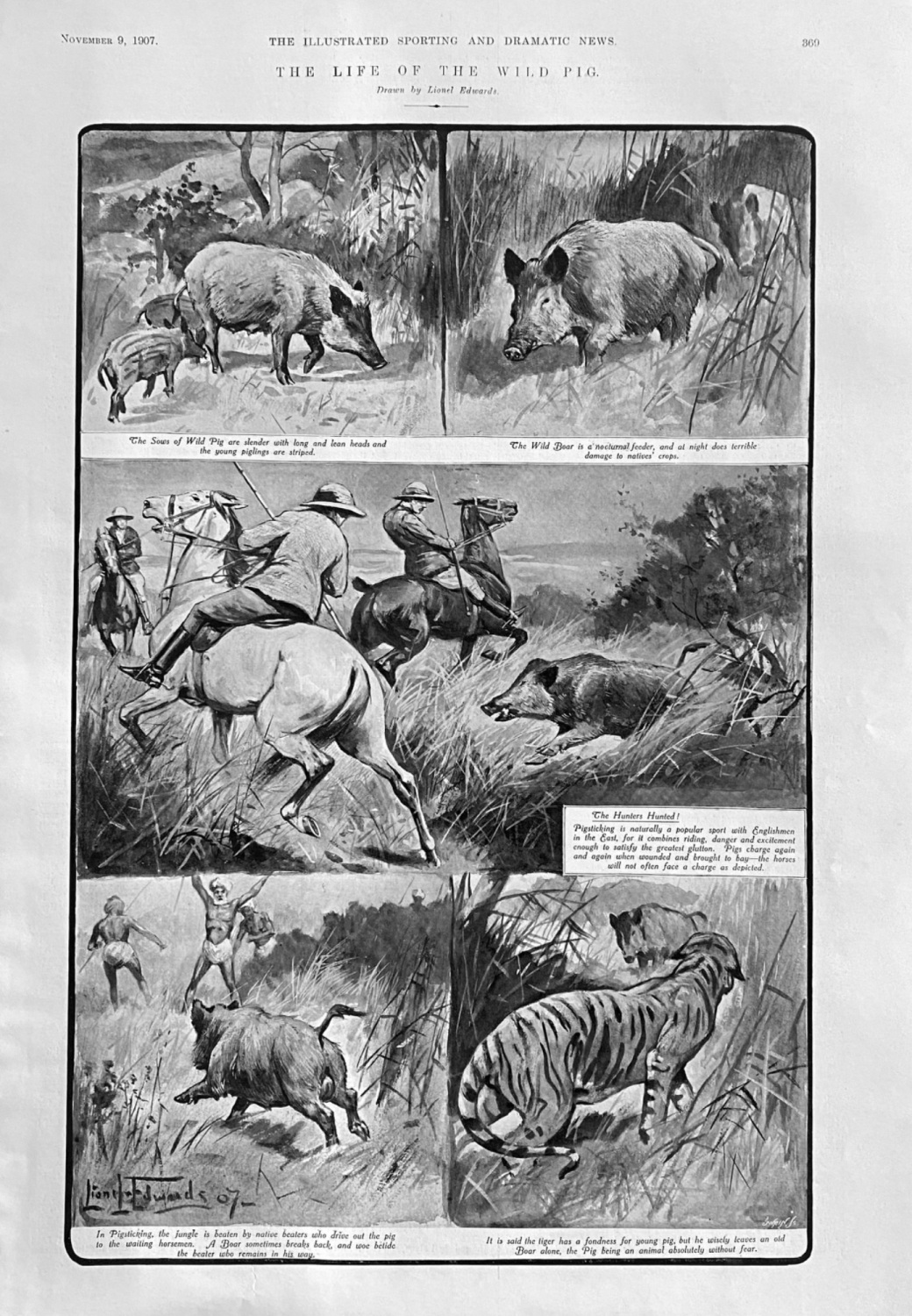 The Life of the Wild Pig.  1907.