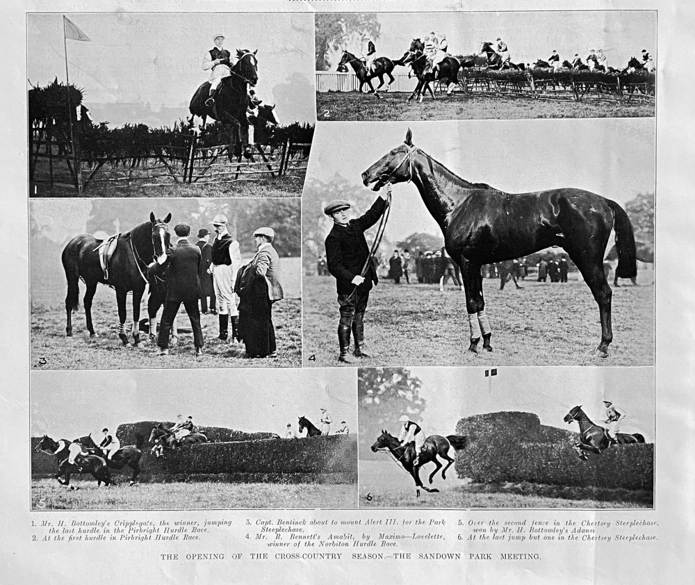The Opening of the Cross-Country Season.- The Sandown Park Meeting.  1907.