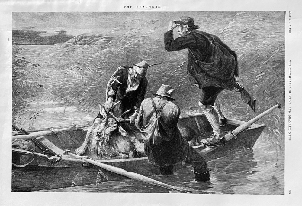 The Poachers.  1907.