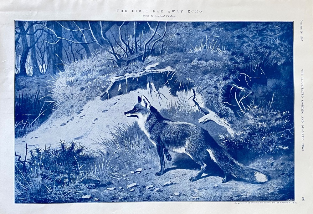 The First Far Away Echo.  1907.