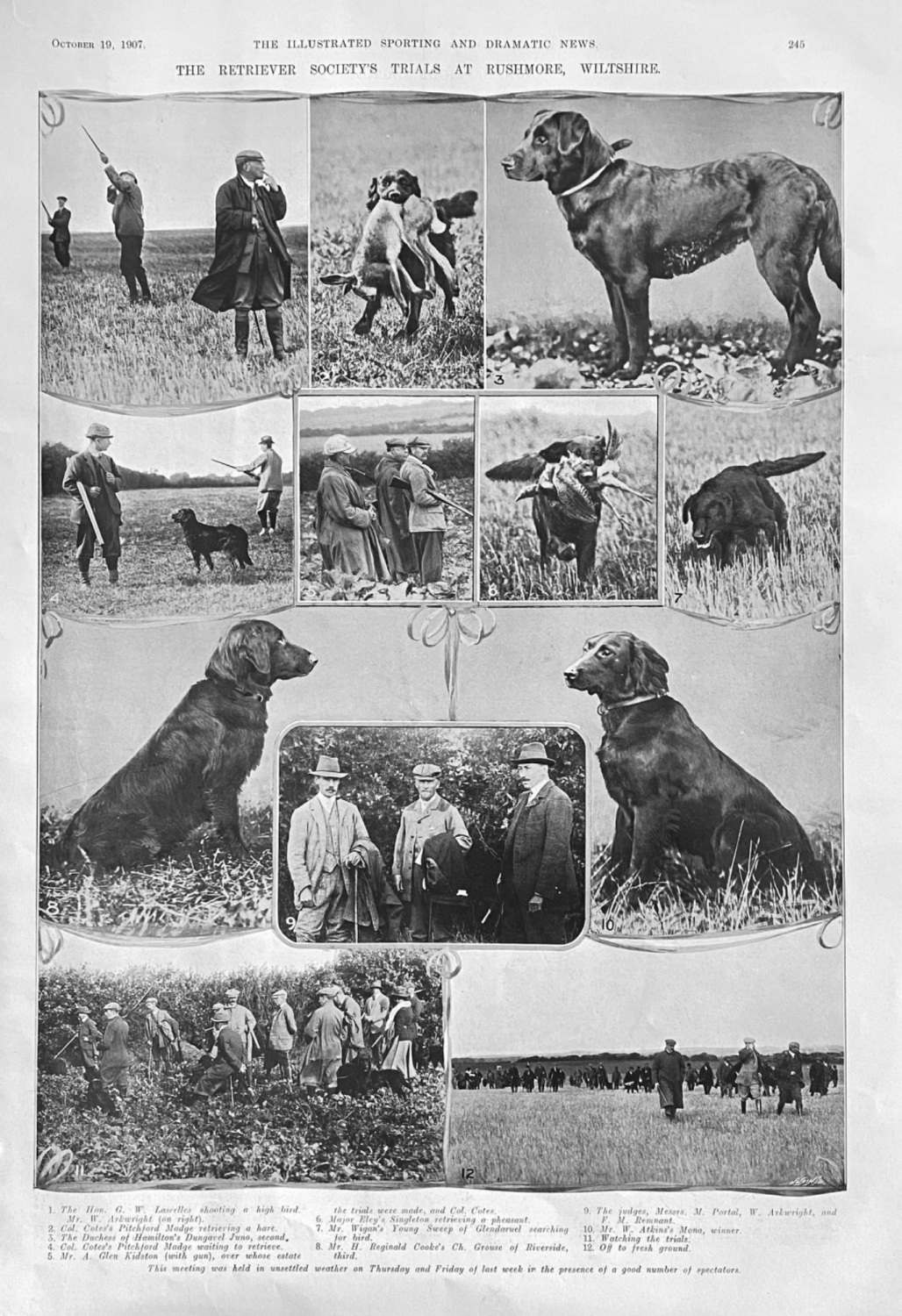 The Retriever Society's Trials at Rushmore, Wiltshire. 1907.