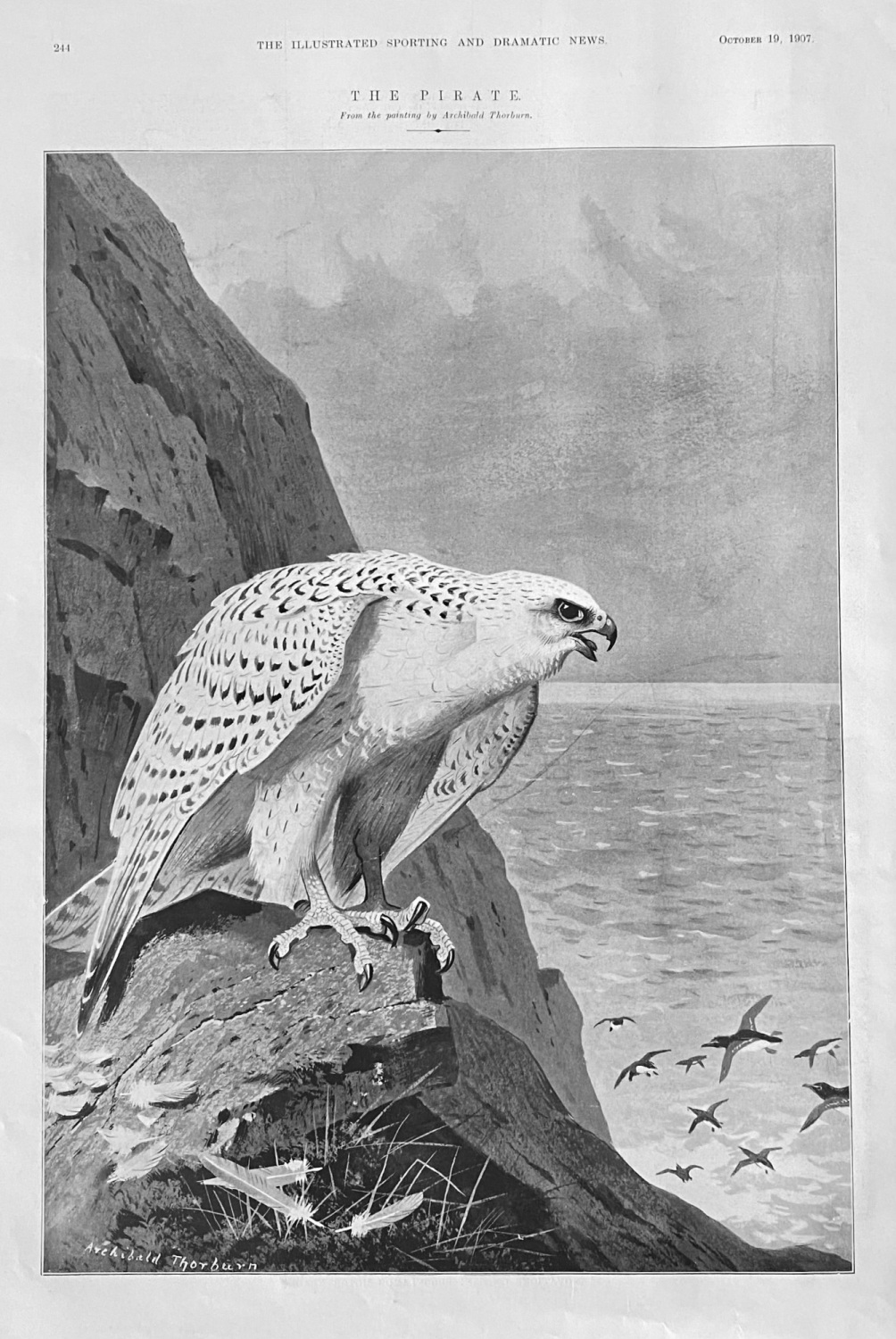 The Pirate. (From the painting by Archibald Thorburn.)  1907.