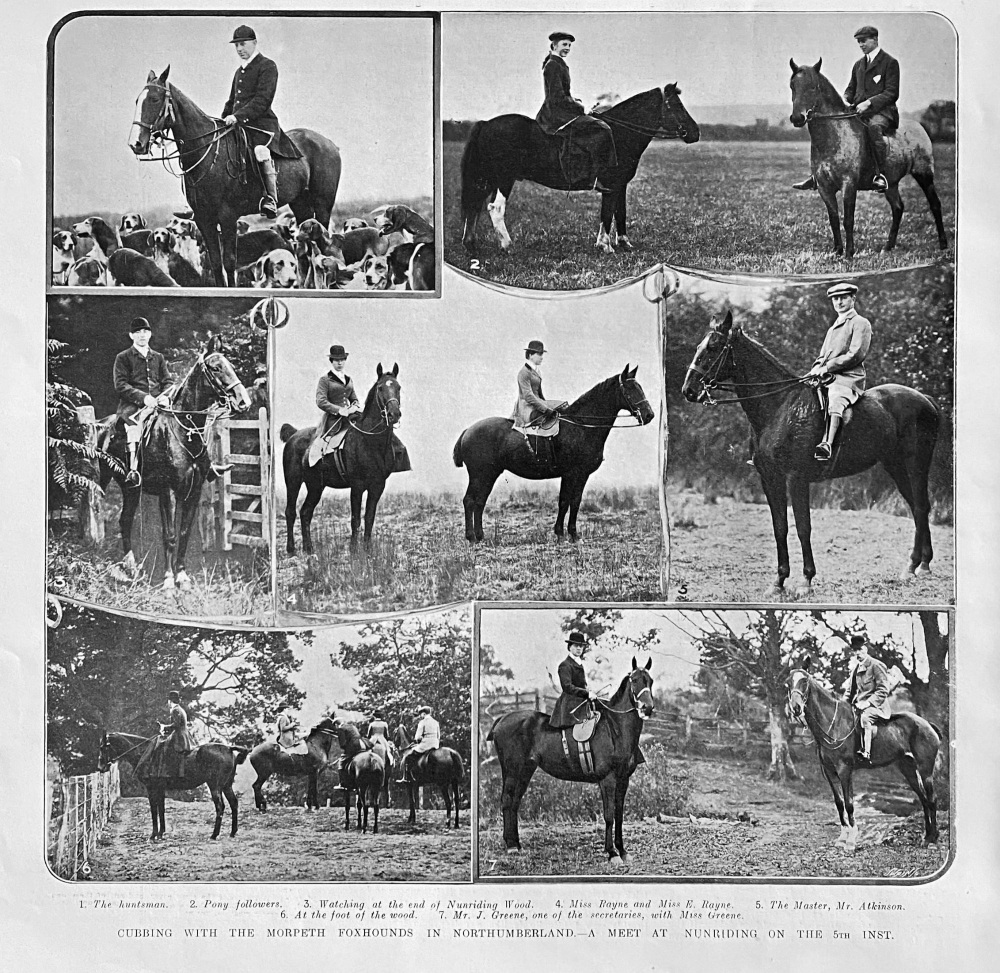 Cubbing with the Morpeth Foxhounds in Northumberland.- A Meet at Nunriding on the 5th inst.  1907.