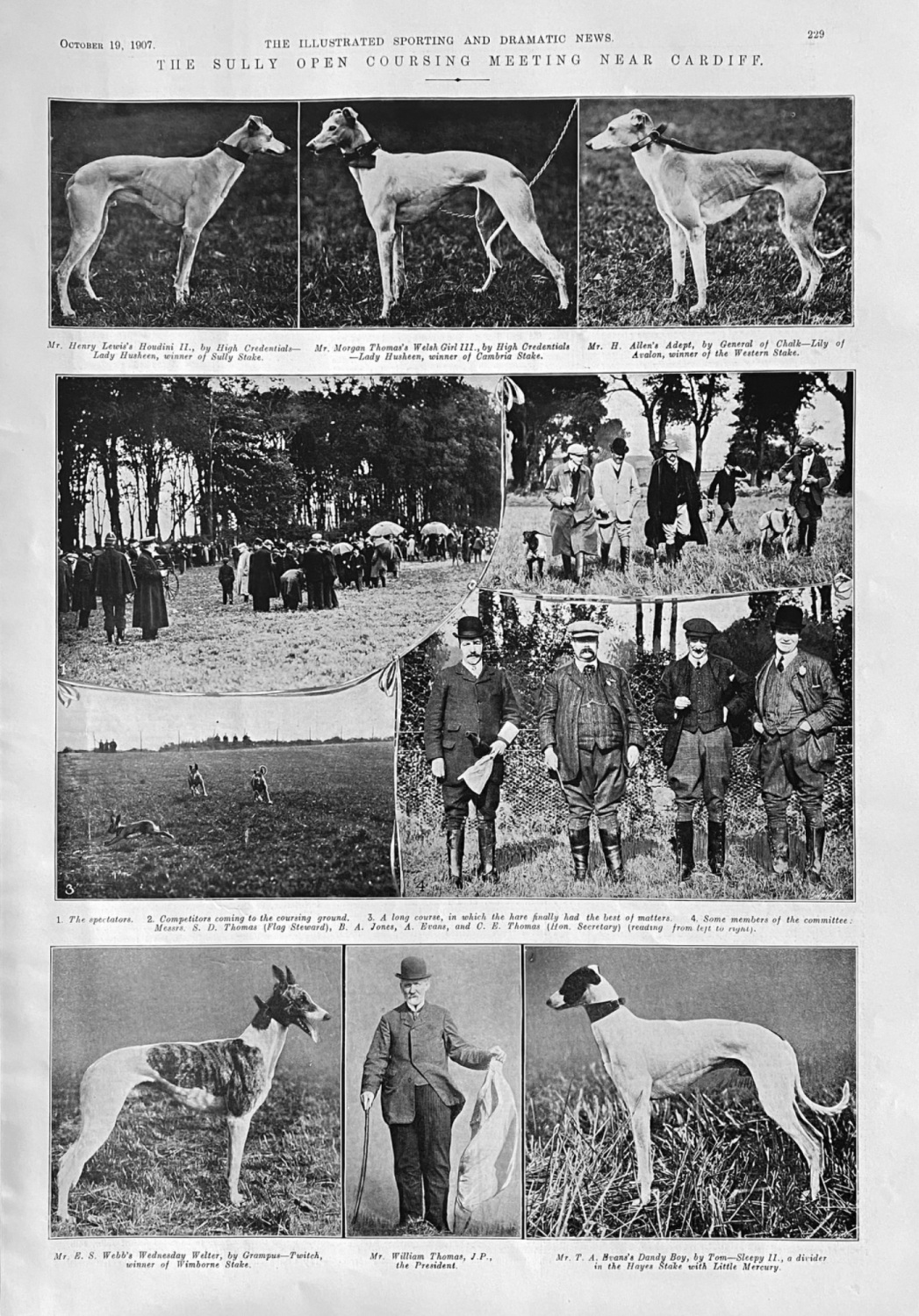 The Sully Open Coursing Meeting near Cardiff.  1907.