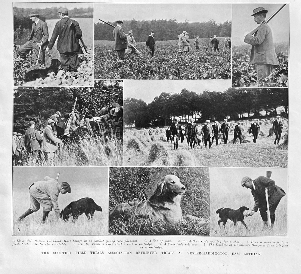 A Scottish Field Trials Association Retriever Trials at Yester-Haddington, East Lothian.  1907.