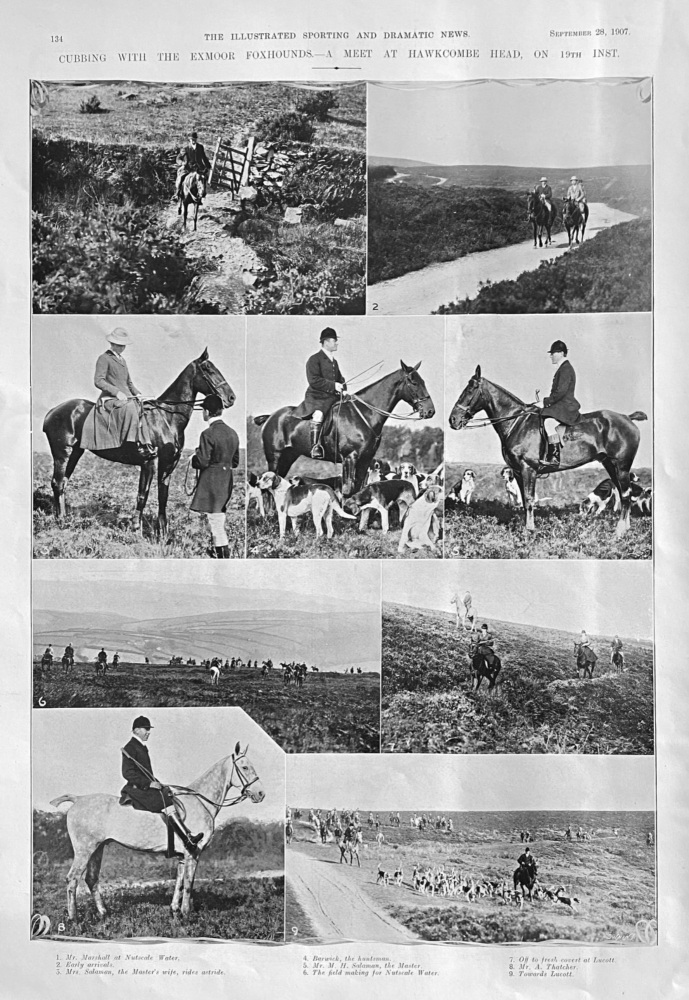 Cubbing with the Exmoor Foxhounds.- A Meet at Hawkcombe Head, on 19th, inst.  1907.