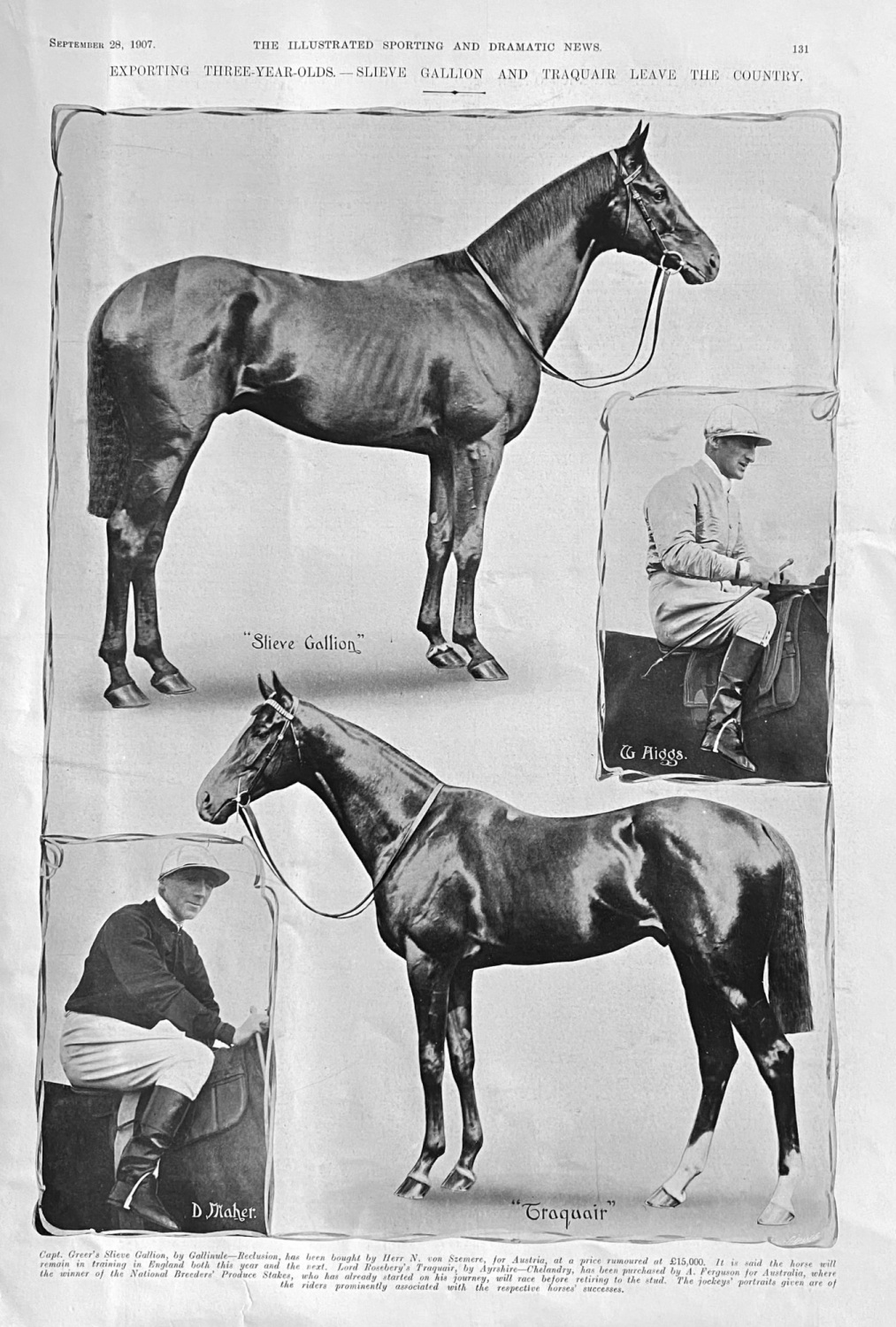 Exporting Three-year-Olds.- Slieve Gallion and Traquair Leave the Country. 