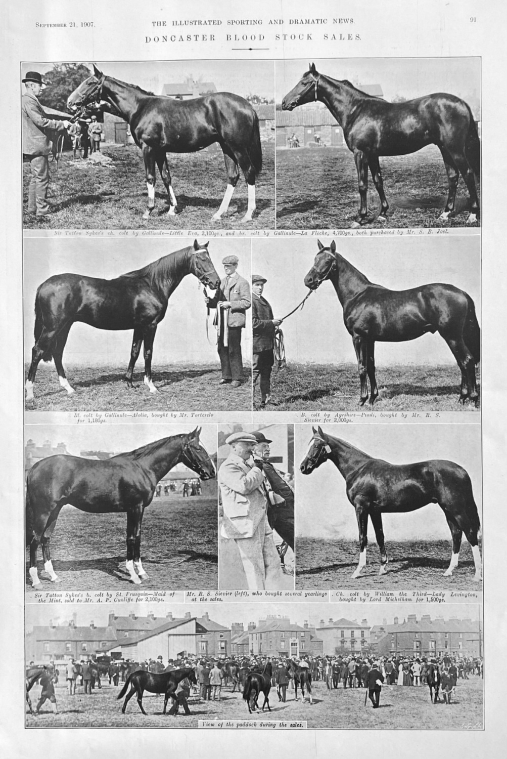 Doncaster Blood Stock Sales.  1907.