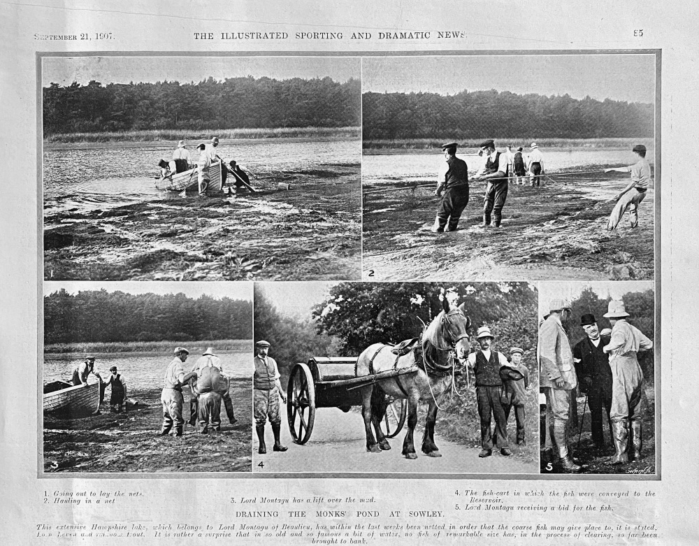 Draining the Monks' Pond at Sowley.  1907.