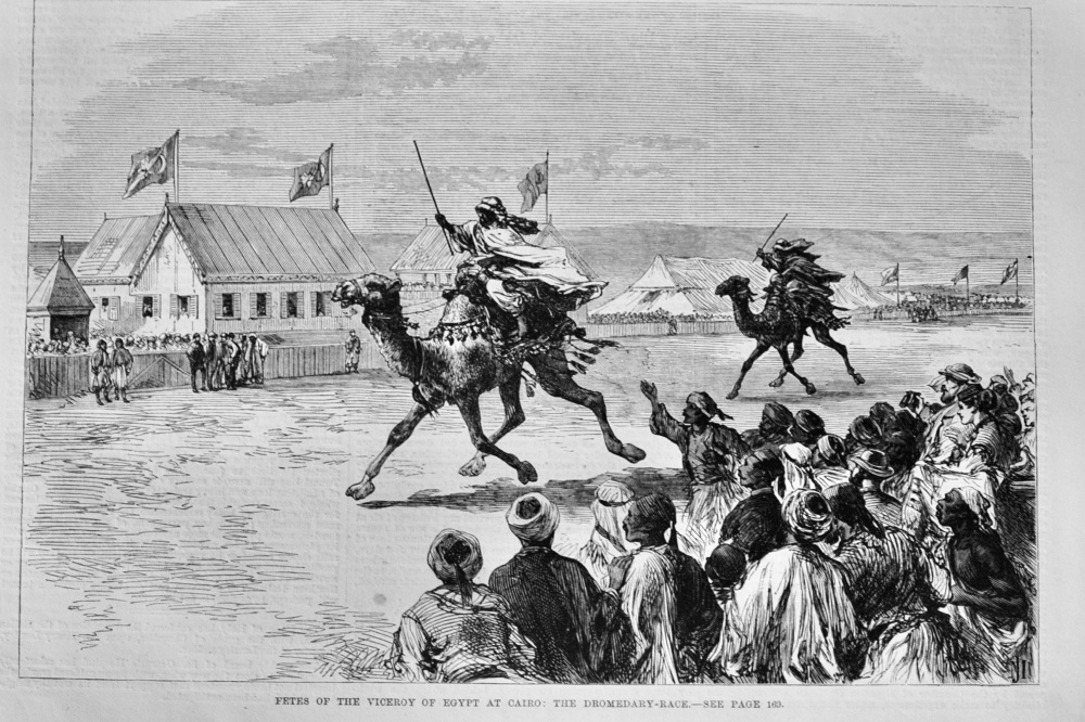 The Dromedary Race - 1869