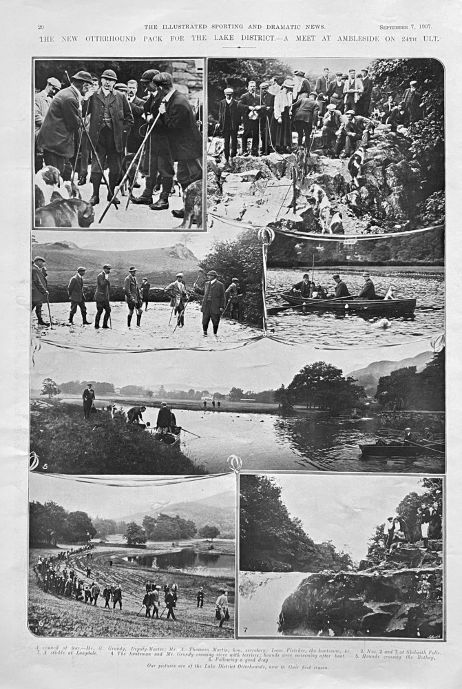 The New Otterhound Pack for the Lake District.- A Meet at Ambleside on 24th  Ult.  1907.