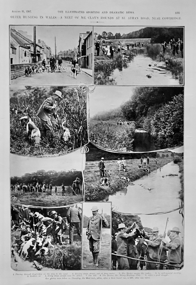 Otter Hunting in Wales.-  A Meet of Mr. Clay's Hounds at St. Athan Road, near Cowbridge.  1907.