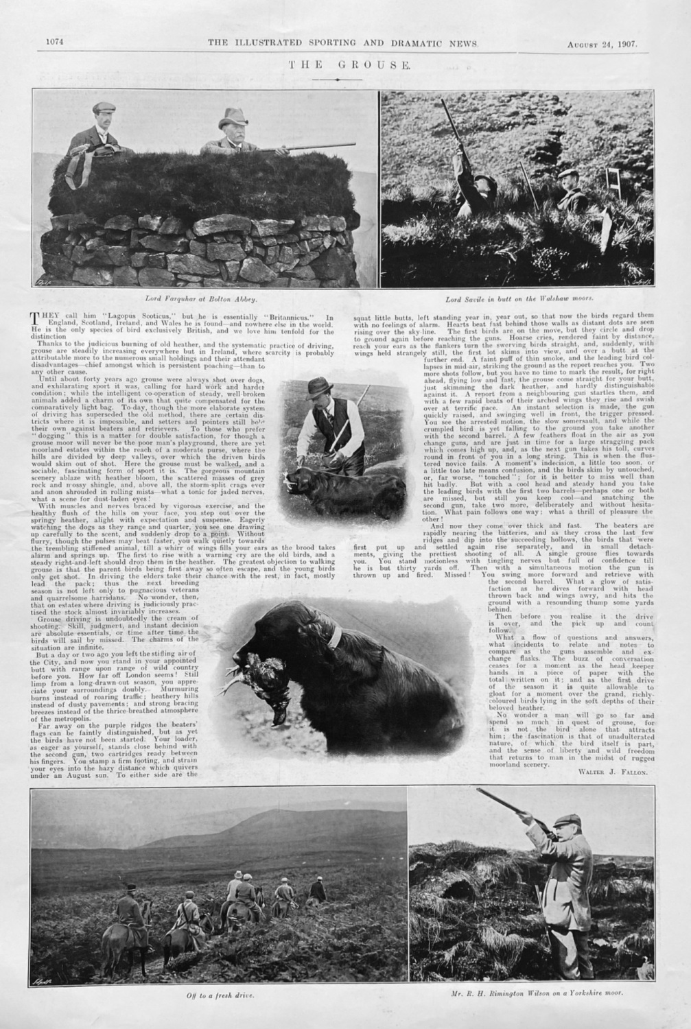 The Grouse.  (Shooting)  1907.