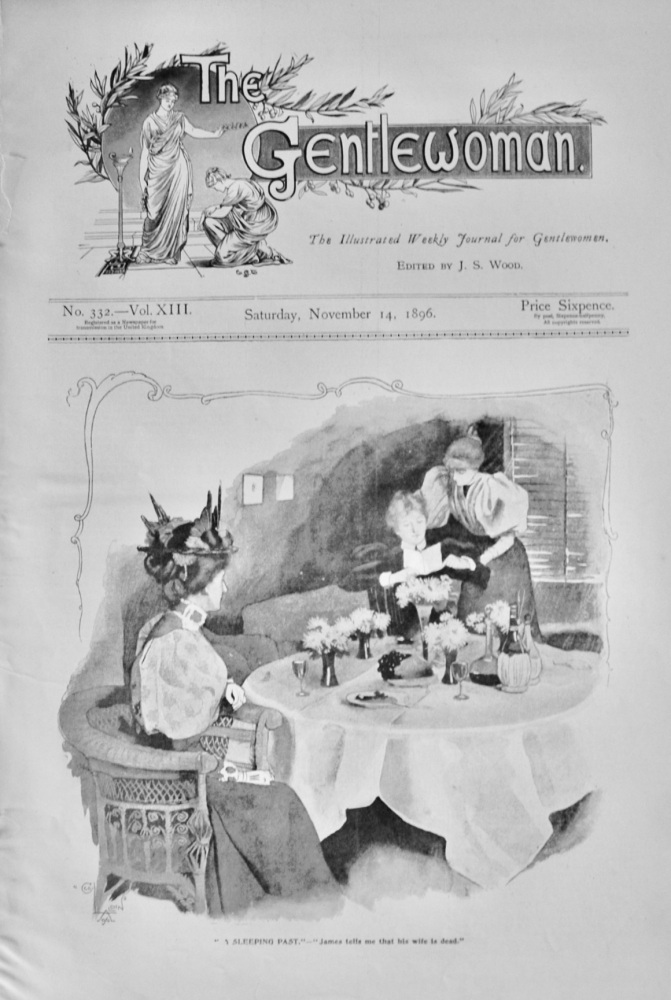 The Gentlewoman - November 14, 1896