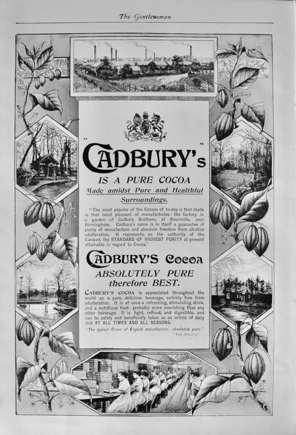 Cadbury's Cocoa Advert - 1896