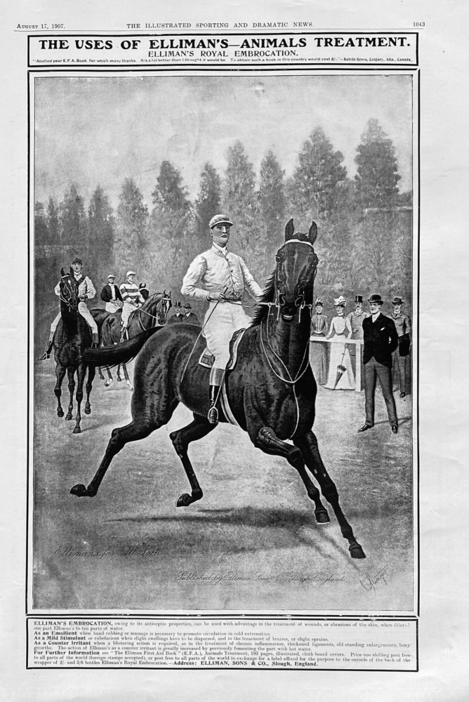 Elliman's Embrocation.  1907.