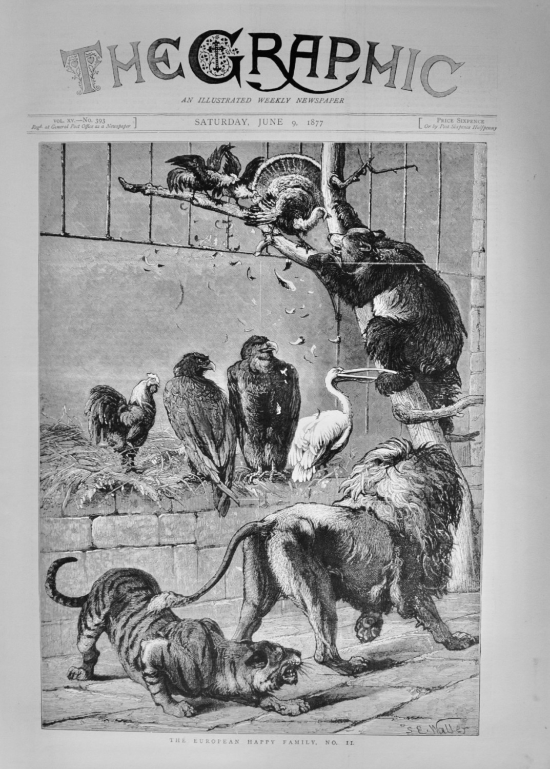 The European Happy Family, No. 11 - 1877