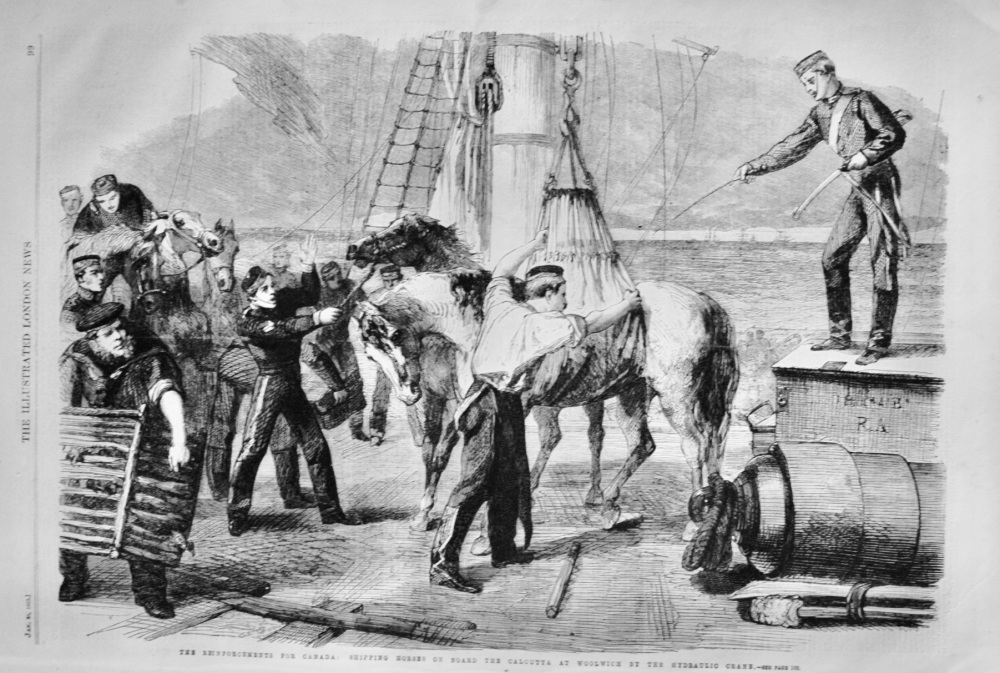 Shipping Horses on board the Calcutta - 1862