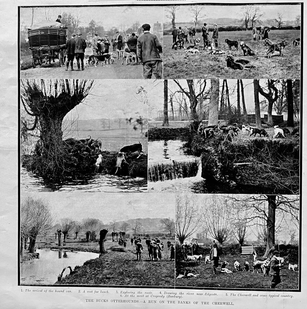 The Bucks Otterhounds.- A Run on the Banks of the Cherwell.  1906.