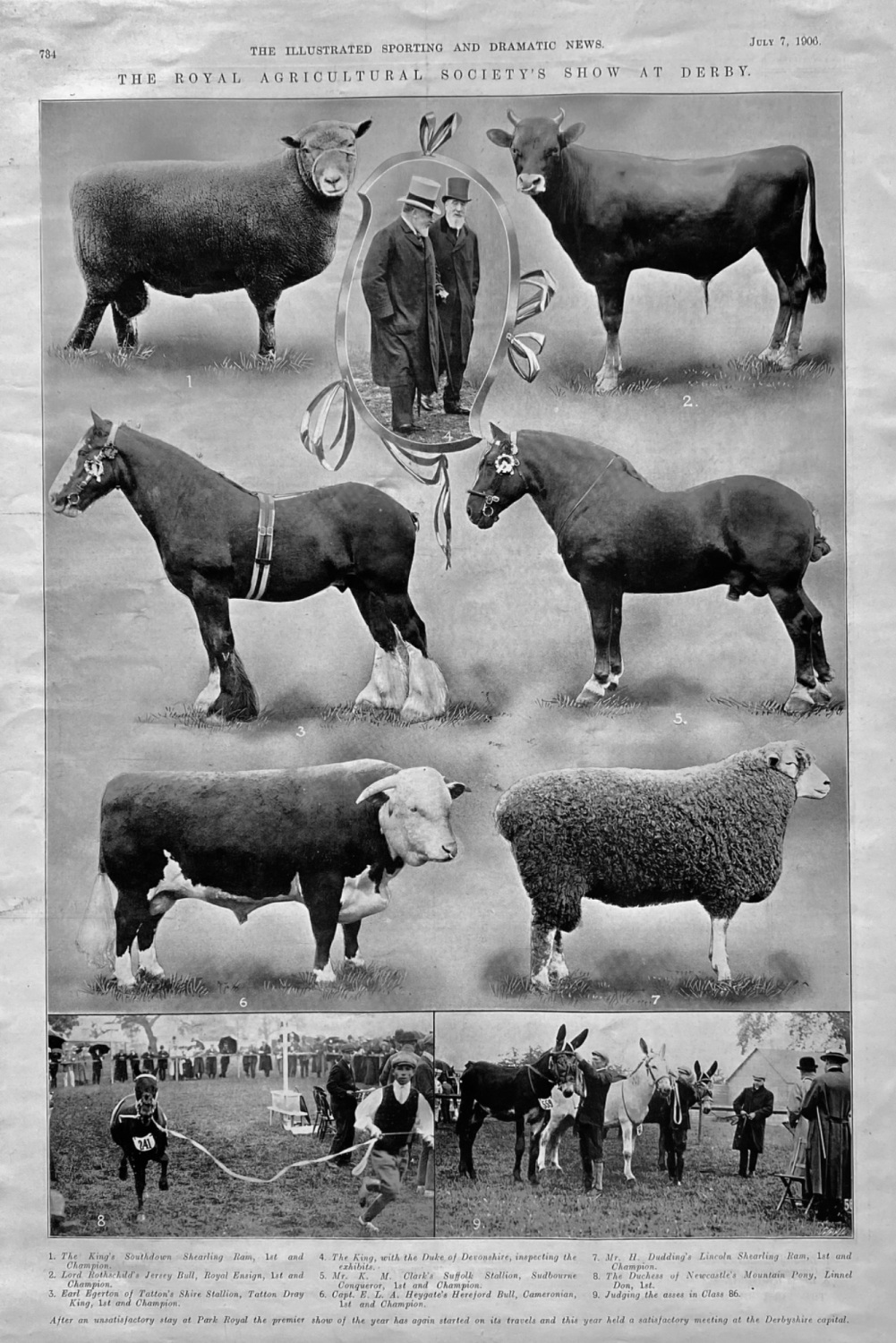The Royal Agricultural Society's Show at Derby.  1906.