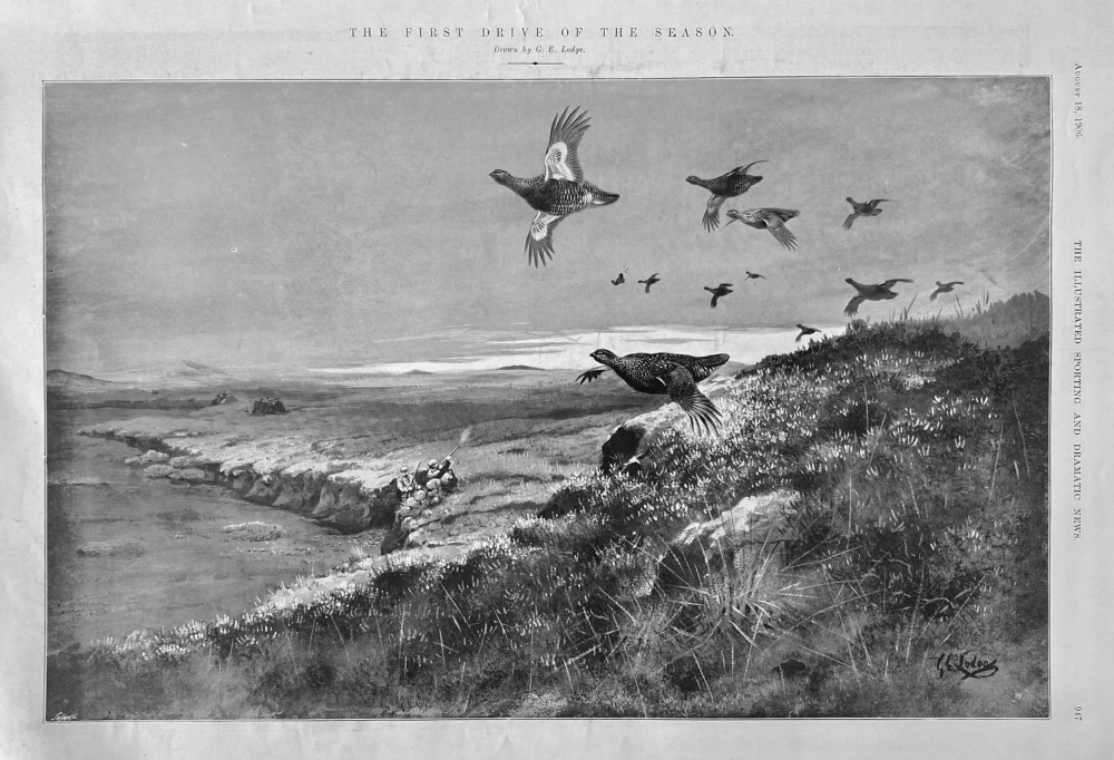 The First Drive of the Season.  1906. (Shooting)