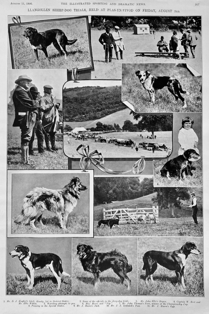 Llangollen Sheep-Dog Trials,  Held at Plas-Yn-Vivod on Friday, August 3rd. 1906.