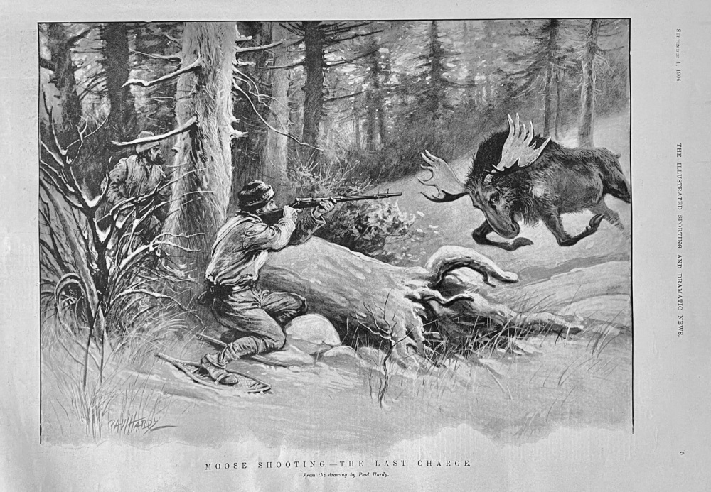 Moose Shooting.- The Last Charge.  1906.