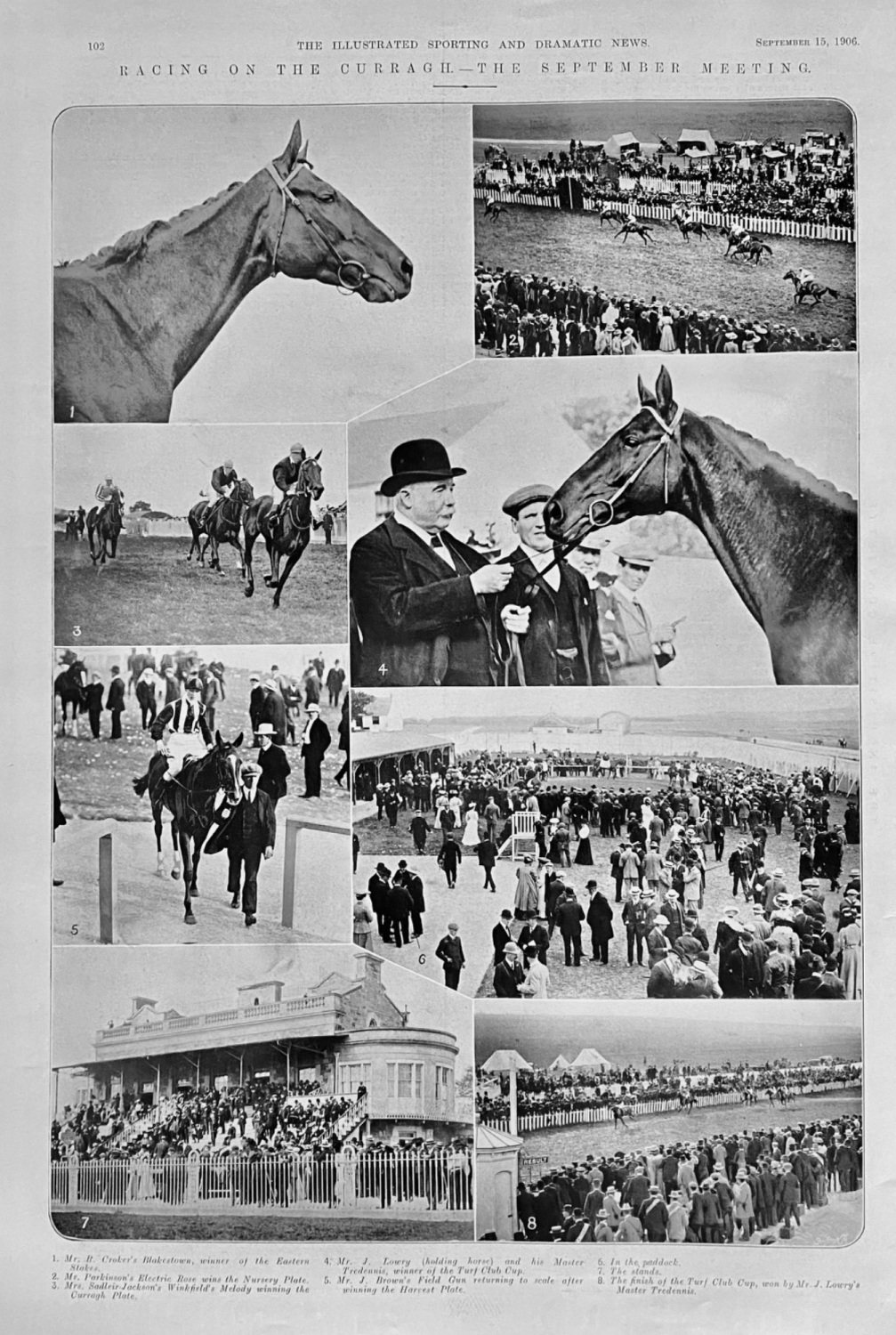 Racing on the Curragh.-  The September Meeting.  1906.