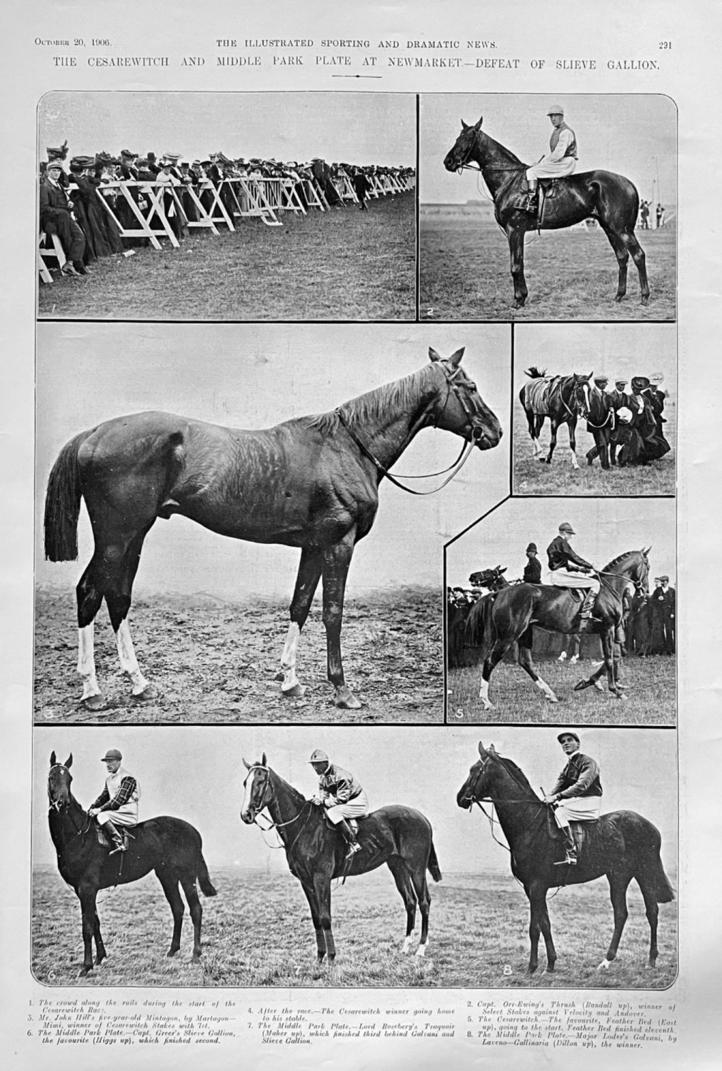 The Cesarewitch and Middle Park Plate at Newmarket.- Defeat for Slieve Gall