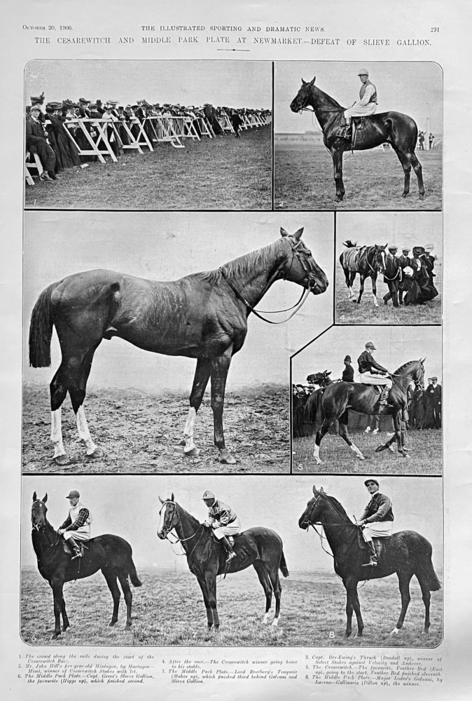 The Cesarewitch and Middle Park Plate at Newmarket.- Defeat for Slieve Gallion.  1906.