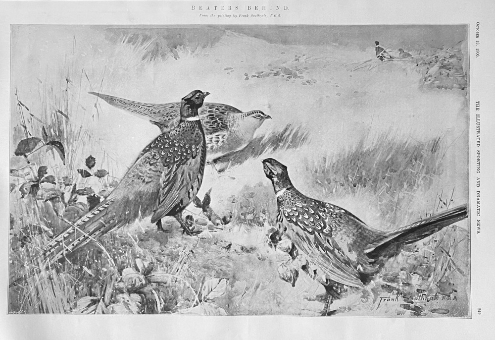 Beaters Behind.  1906. (From the painting by Frank Southgate.)