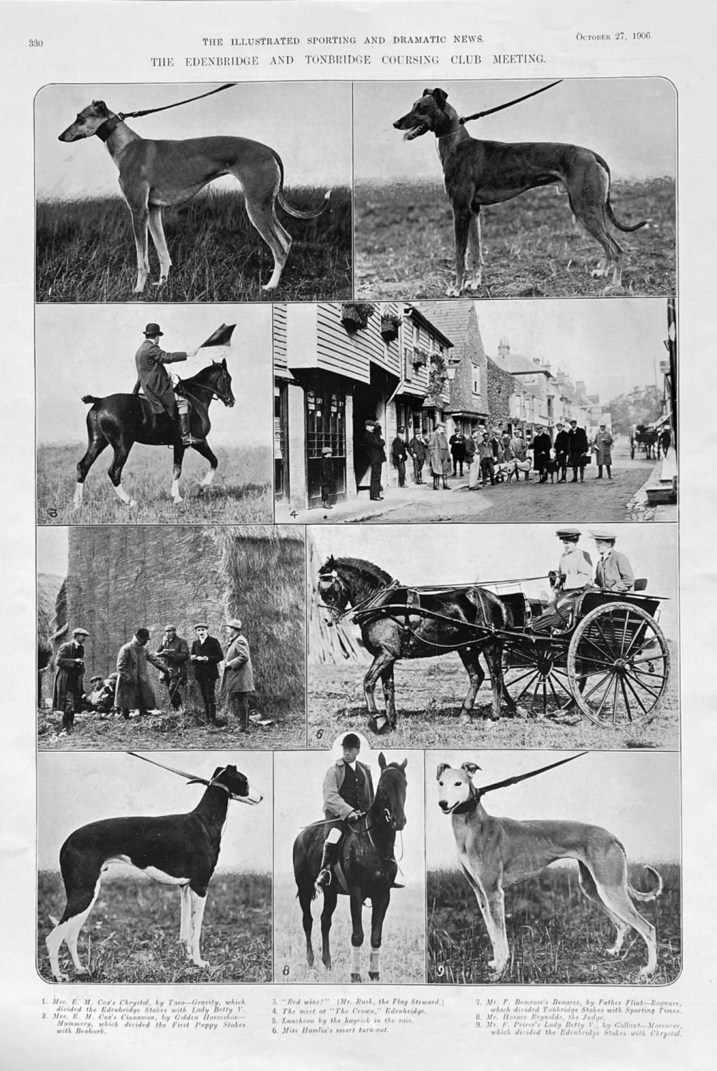 The Edenbridge and Tonbridge Coursing Club Meeting.  1906.